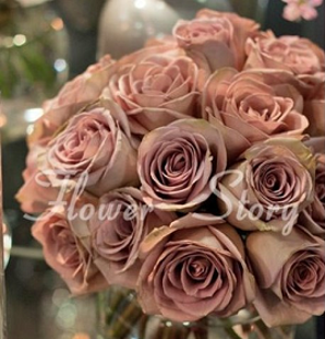 Rare Choco Rose Seeds