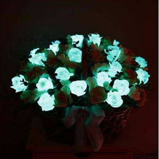 белая фосфорицирующая роза