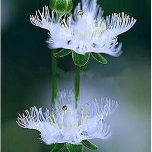 неизвестный (уточняется) 2